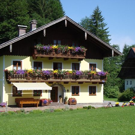 Pferdehof Almgut Daire Faistenau Dış mekan fotoğraf