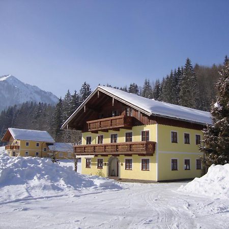 Pferdehof Almgut Daire Faistenau Dış mekan fotoğraf