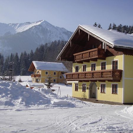 Pferdehof Almgut Daire Faistenau Dış mekan fotoğraf