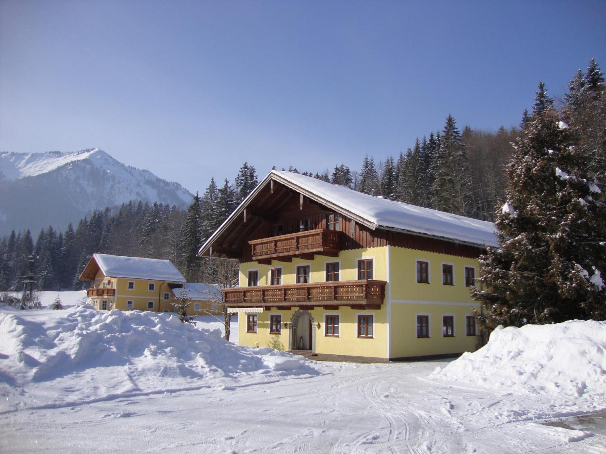 Pferdehof Almgut Daire Faistenau Dış mekan fotoğraf