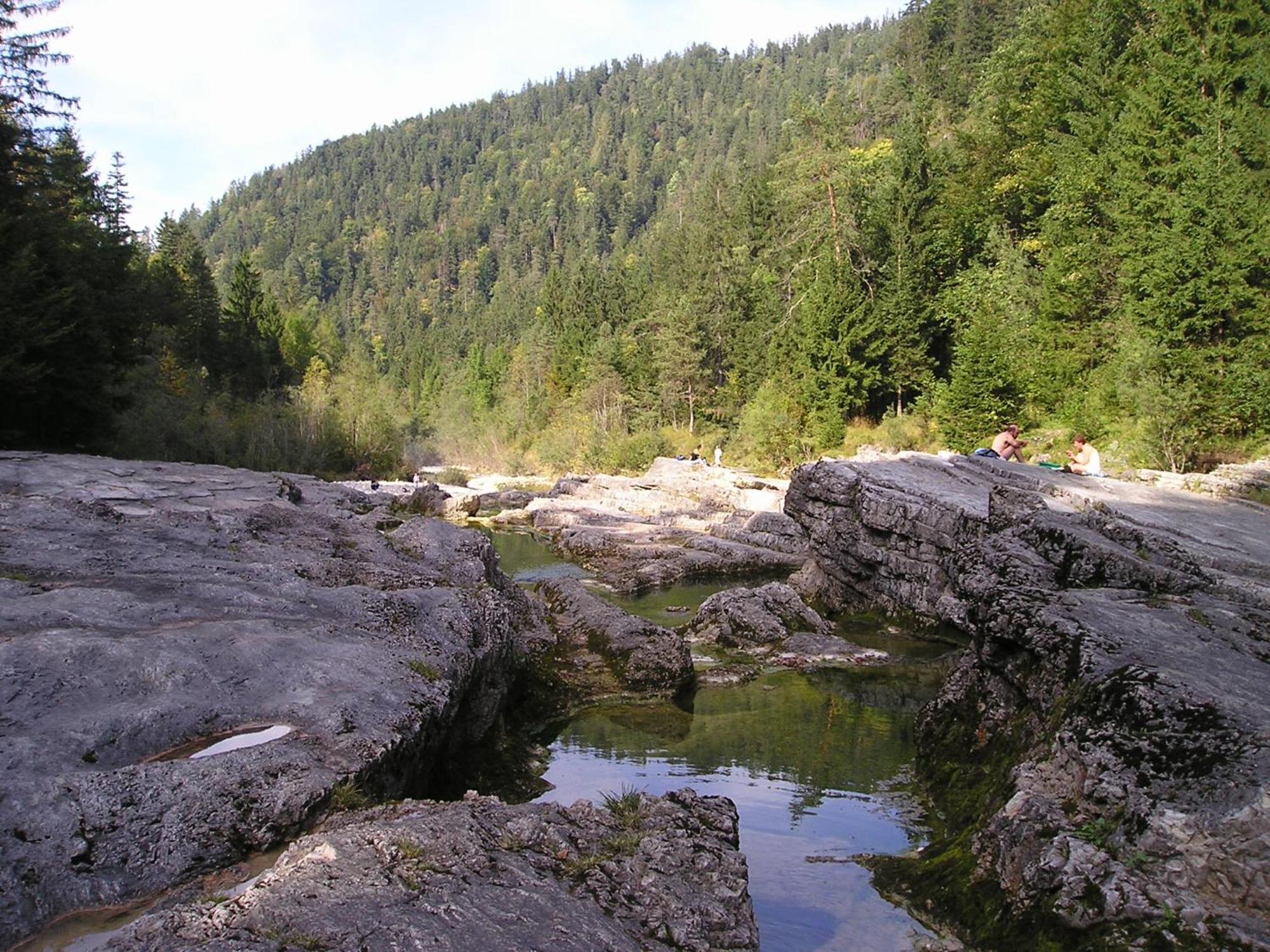 Pferdehof Almgut Daire Faistenau Dış mekan fotoğraf