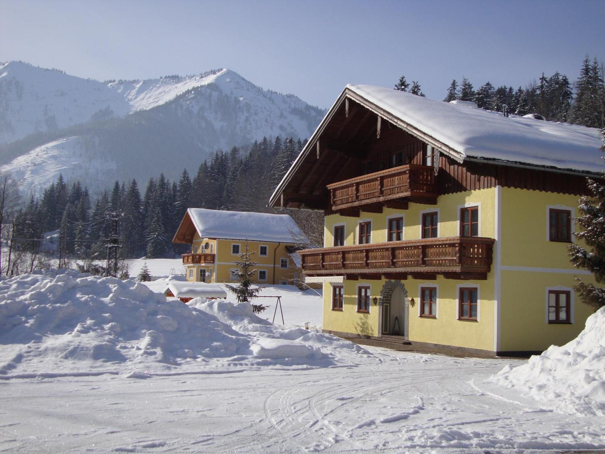 Pferdehof Almgut Daire Faistenau Dış mekan fotoğraf